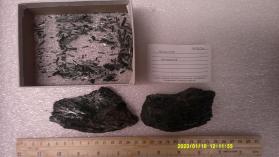 Actinolite