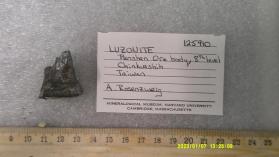 Luzonite