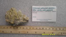 Unknown yellowish psuedos after calcite with gypsum