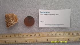 Tarbuttite