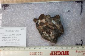 Bustamite