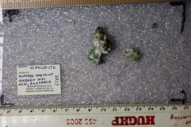 Hidalgoite (2 pieces)