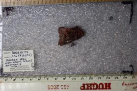 Knebelite (Var Fayalite)