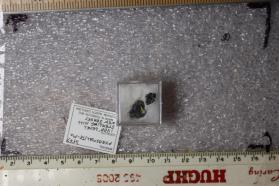 Pyrosmalite-Mn