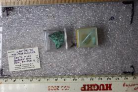 Nantokite with Paratacamite (2 pieces)