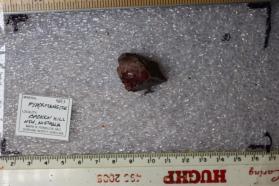 Pyroxmangite