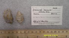 tasnaite