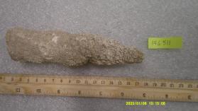 Calcite var. stalactitic