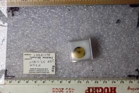 Cabriite