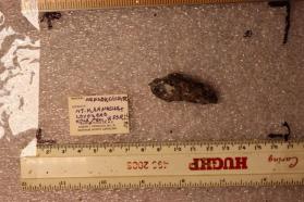 Nenadkevichite