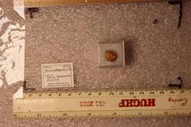 Plumbomicrolite (Discredited)