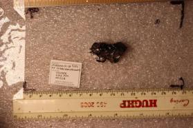 Pyroaurite-2H On Tetraferriphlogopite