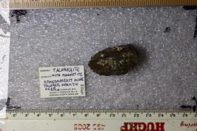 Talnakhite Ore Sample, Magnetite