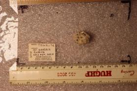Tisinalite