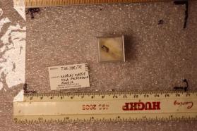 Tuliokite