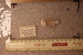 Yuksporite