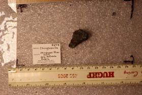 Chinglusuite (Neotocite Var)
