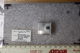 Vyalsovite