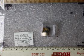 Froodite with Maslovite, Niggliite