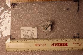Rimkorolgite