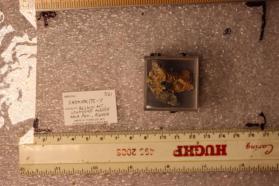 Shomiokite-Y