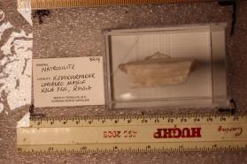 Natrosilite