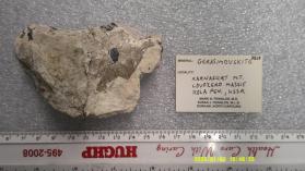 Gerasimovskite