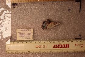 Penkvilksite