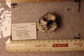 Petarasite
