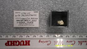 Atokite, Palarstannide