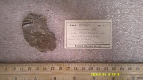 SERANDITE
