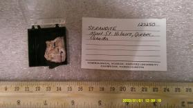 SERANDITE with Acmite