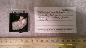 SERANDITE with Analcime and NATROLITE and Yofortierite