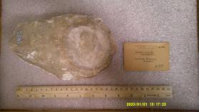 double calcite