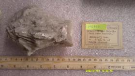 Aragonite