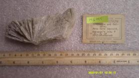 Aragonite