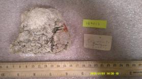 colemonite