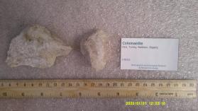 Colemanite