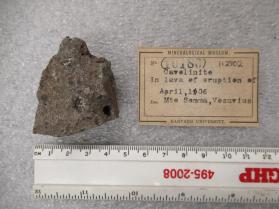 cavolinite