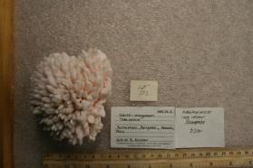 Calcite-manganoan