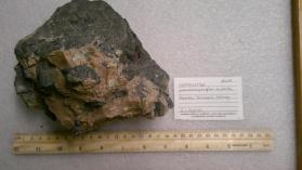 SERPENTINE with Phlogopite
