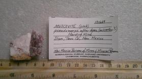 Muscovite with Albite and Quartz and SPODUMENE