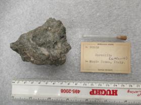 Sarcolite