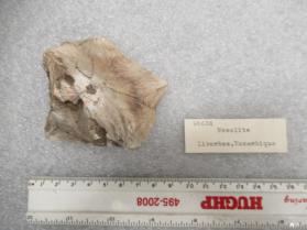 Mesolite