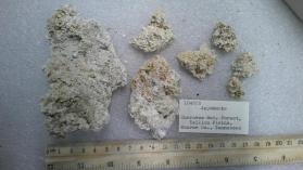 Apjohnite