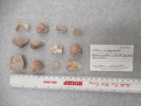 OPAL