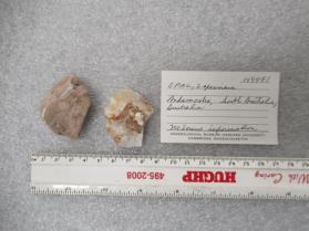 OPAL