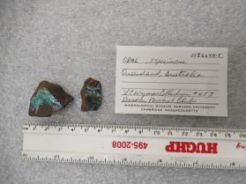 OPAL