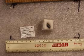 Silver Amalgam var. Arquerite
