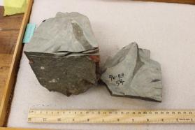 Mt. Roe Paleosol #2